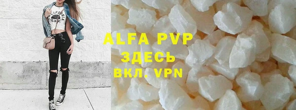 ECSTASY Покачи