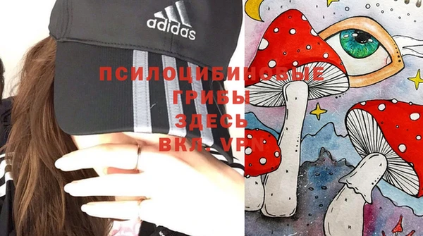 амф Покров