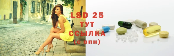 PSILOCYBIN Армянск