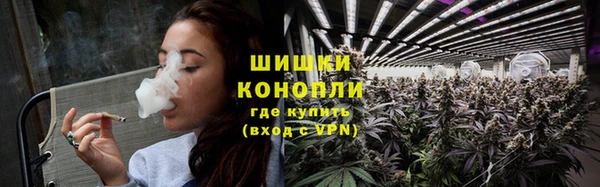 spice Аркадак