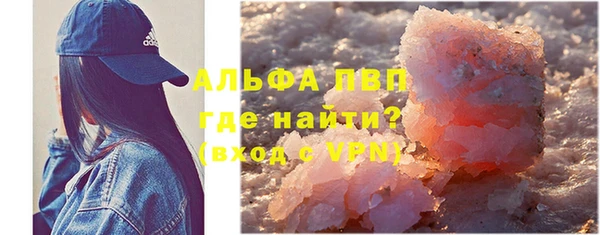 ECSTASY Покачи